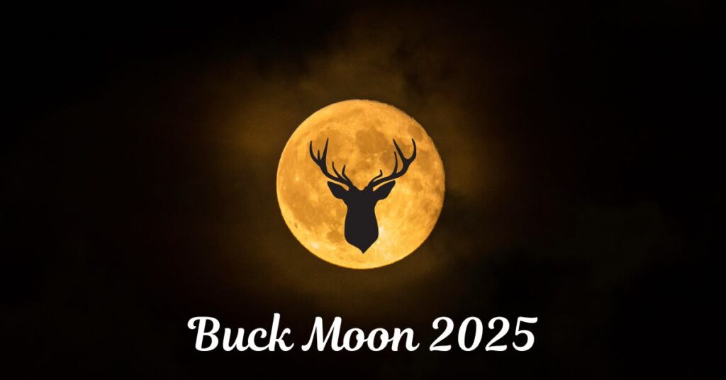 Buck Moon 2025