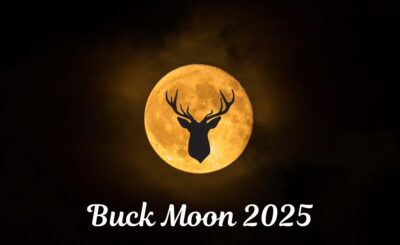 Buck Moon 2025