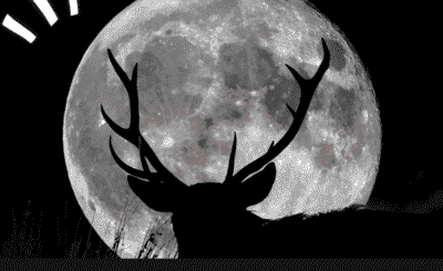 When Is the Next Full Moon