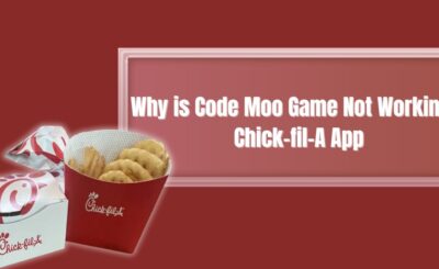 Why is Code Moo Game Not Working?